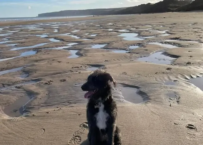 Sunkissed Holiday home Filey