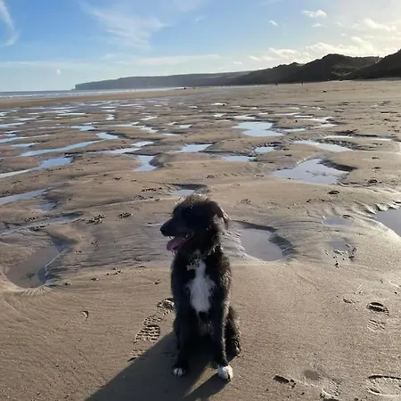 Sunkissed Semesterbostad Filey